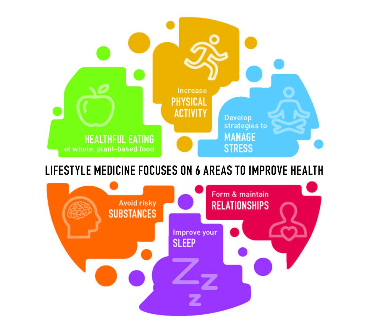 American College of Lifestyle Medicine 6 areas to improve health image to accompany the article Minding the Buddhist Roots of Westernized Mindfulness Training